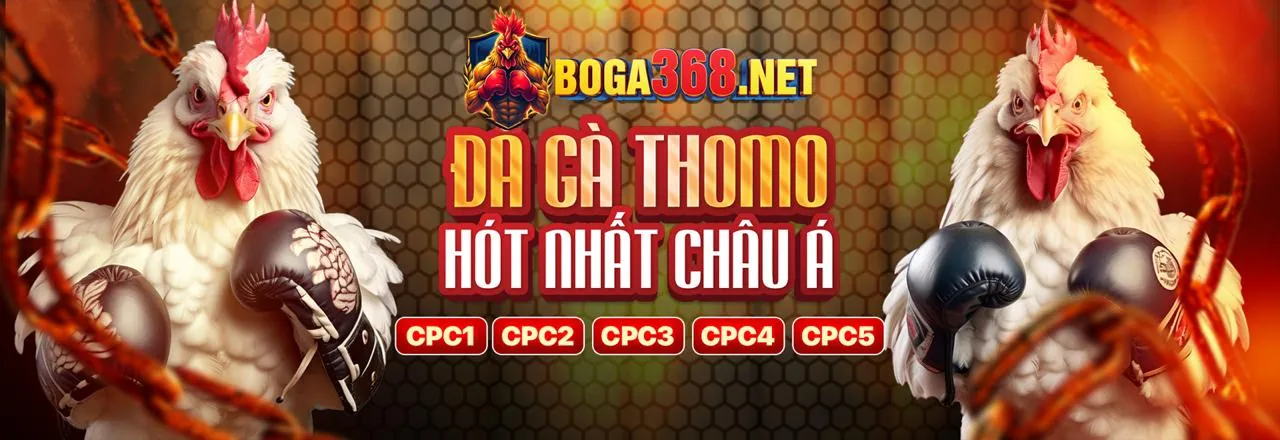 Chương trình VIP qh77 khuyến mãi